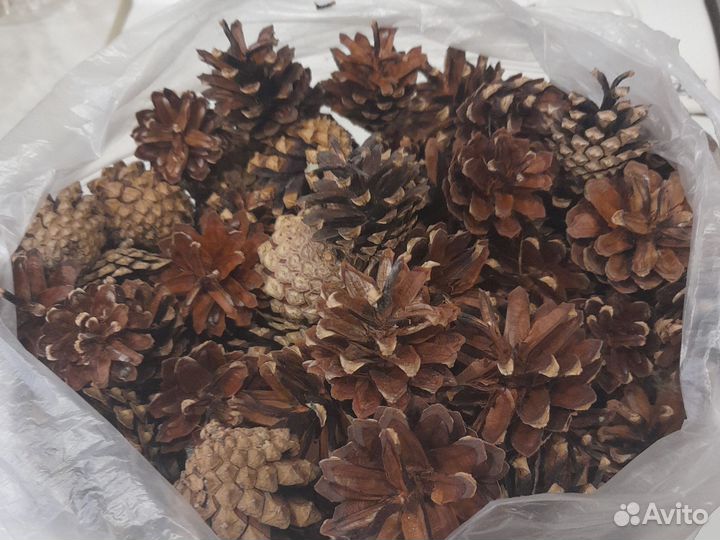 Шишки для декора