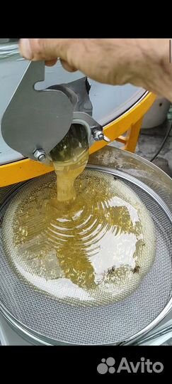 Мёд Донник, Липа, Кипрей, Гречка, Подсолнух 2024