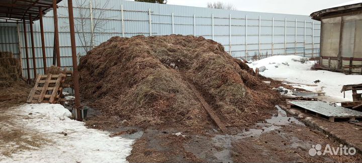 Перегной навоз конский