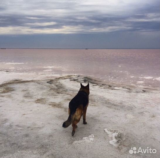 Фотография Автор Кодин Геннадий Молодой Деятель