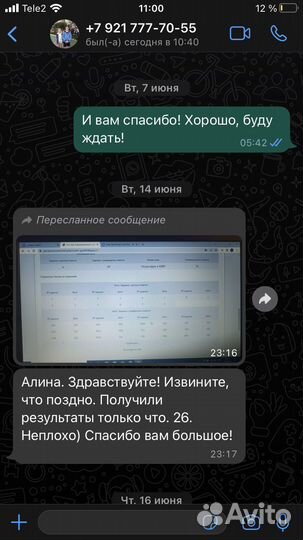 Репетитор по русскому языку и литературе