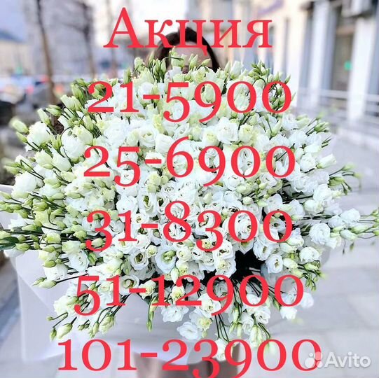 Эустома роза 101шт