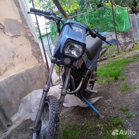 Зид пилот 50