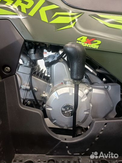 Квадроцикл Motoland shark 125 - L PRO