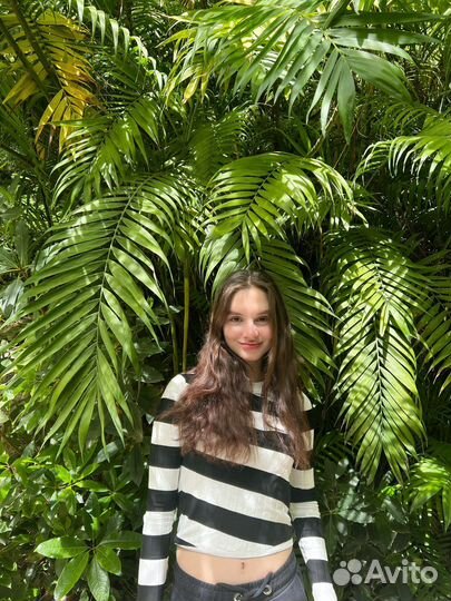 Репетитор по испанскому языку