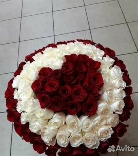 Розы букет 101,51, 25 шт. Доставка круглосуточно