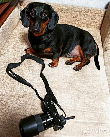 Продаю цифровой фотоаппарат sony с объективами