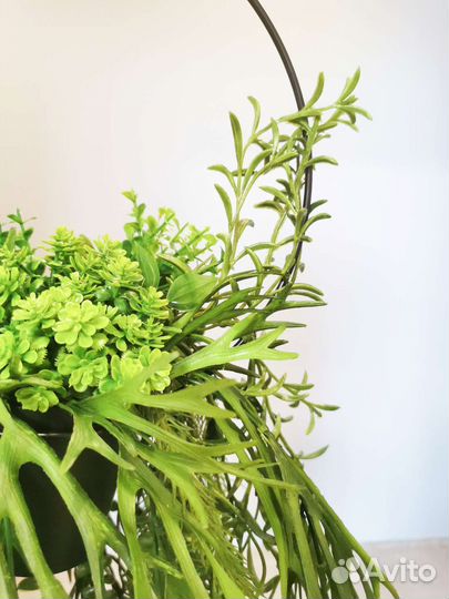 Искусственные растения в подвесном кашпо