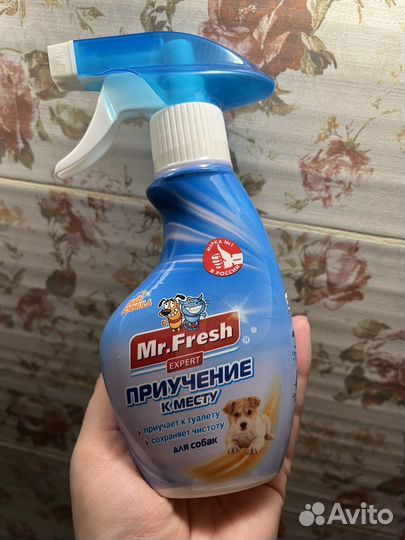 Приучение к лотку,спрей