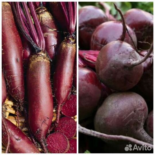 Домашние соленья,грибы,щавель,травяной чай,свекла