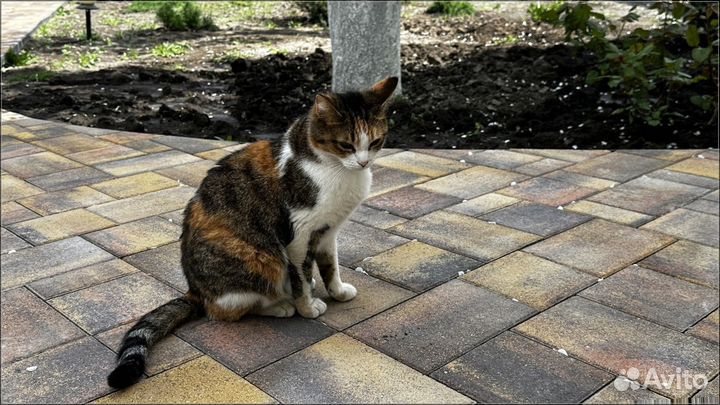 Тротуарная плитка цветная минимальный объем 120 м2