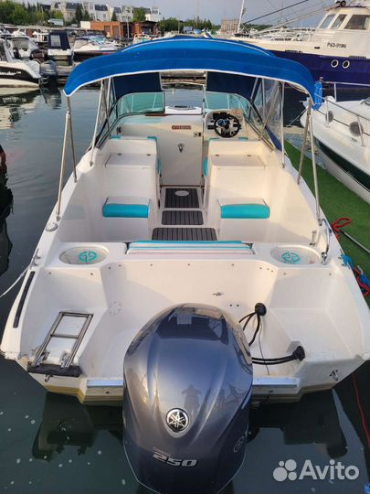 Ambassador 24
