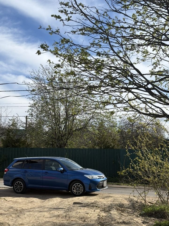 Toyota Corolla Fielder: фото из отзыва