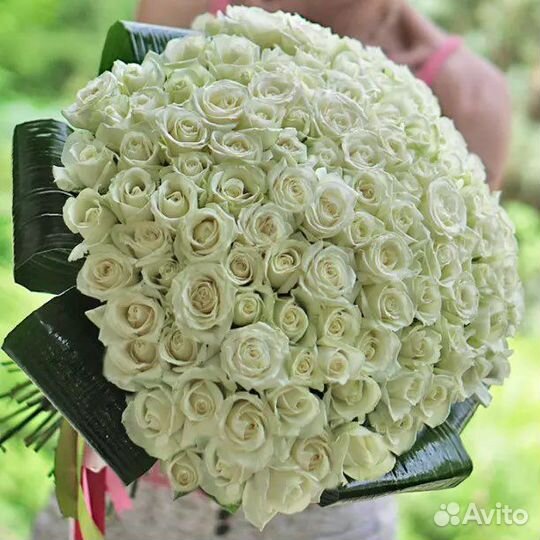 Букет белых роз 101 белая роза Доставка