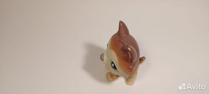 Littlest pet shop