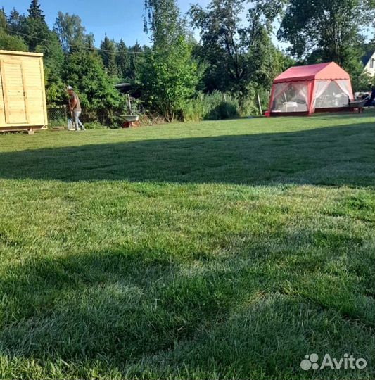 Газон. Рулонный газон