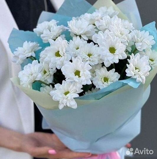 Хризантема