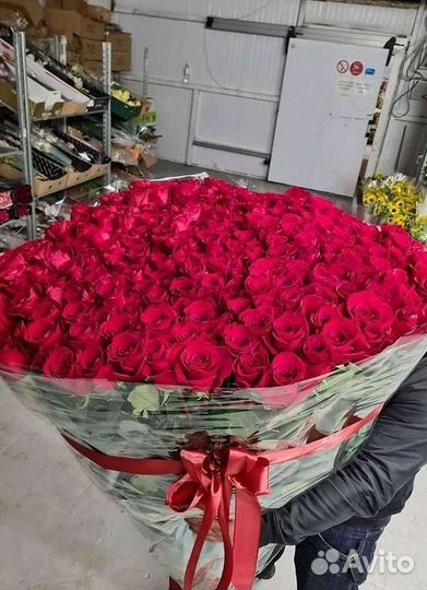 Розы высокие Доставка цветов
