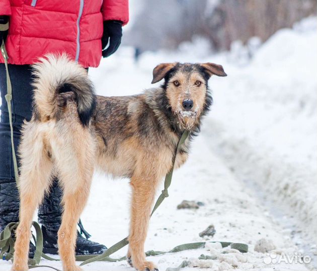 Классный Лайк