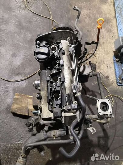 Двигатель VW Polo 2001-2009 1.4Л. 16V