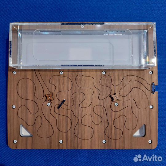 Новая Муравьиная ферма AntPlanet Американский орех