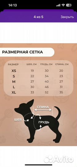 Костюм для собак