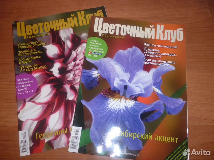 Цветники Мой прекрасный сад Школа садовника