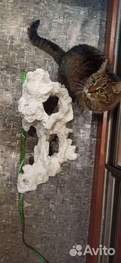 Декор Камень Грот кораллы для аквариума