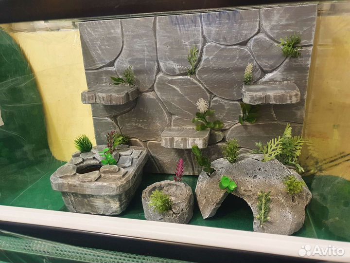 Новые террариумы для рептилий 