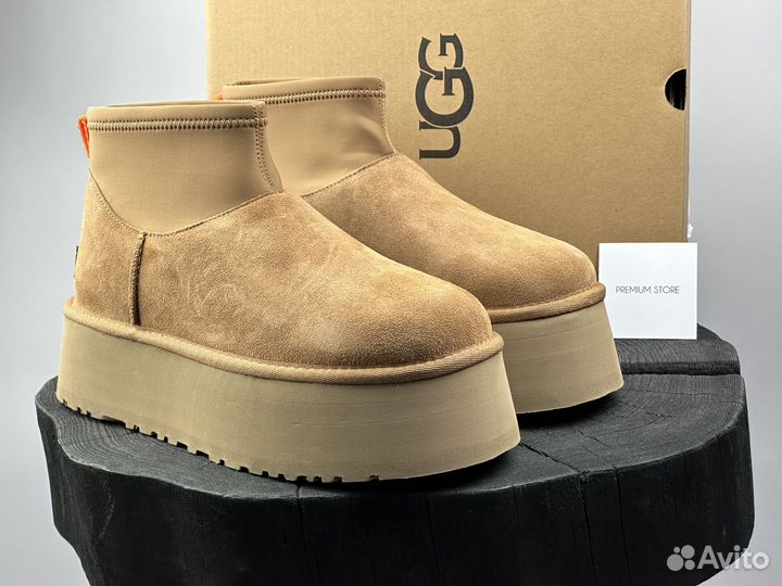 Угги UGG Dipper Platform Chestnut женские