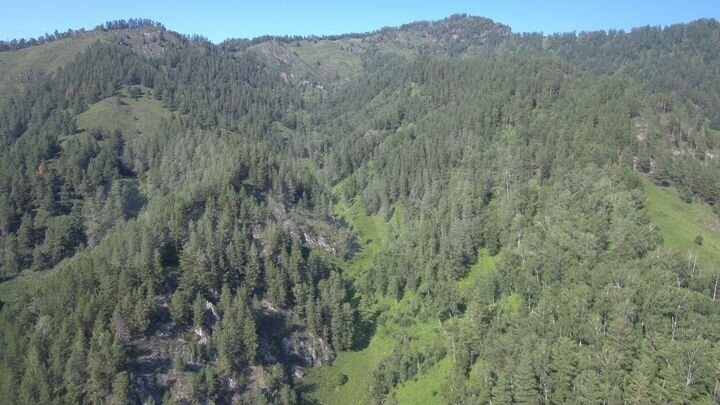 Участок 8 га (СНТ, ДНП)