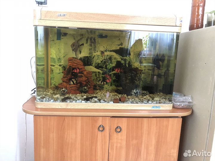 Продаетя аквариум с рыбками