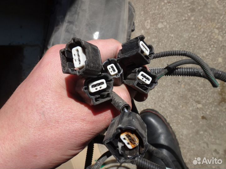 Лагуна проводка датчиков парковки Laguna 07-15