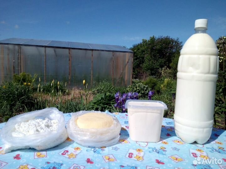 Домашнее молоко