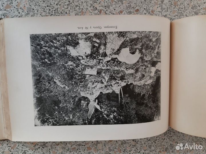 Альбом с видамиКавказа(старинный)