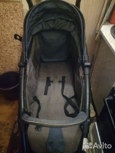 Коляска 2 в 1 adamex