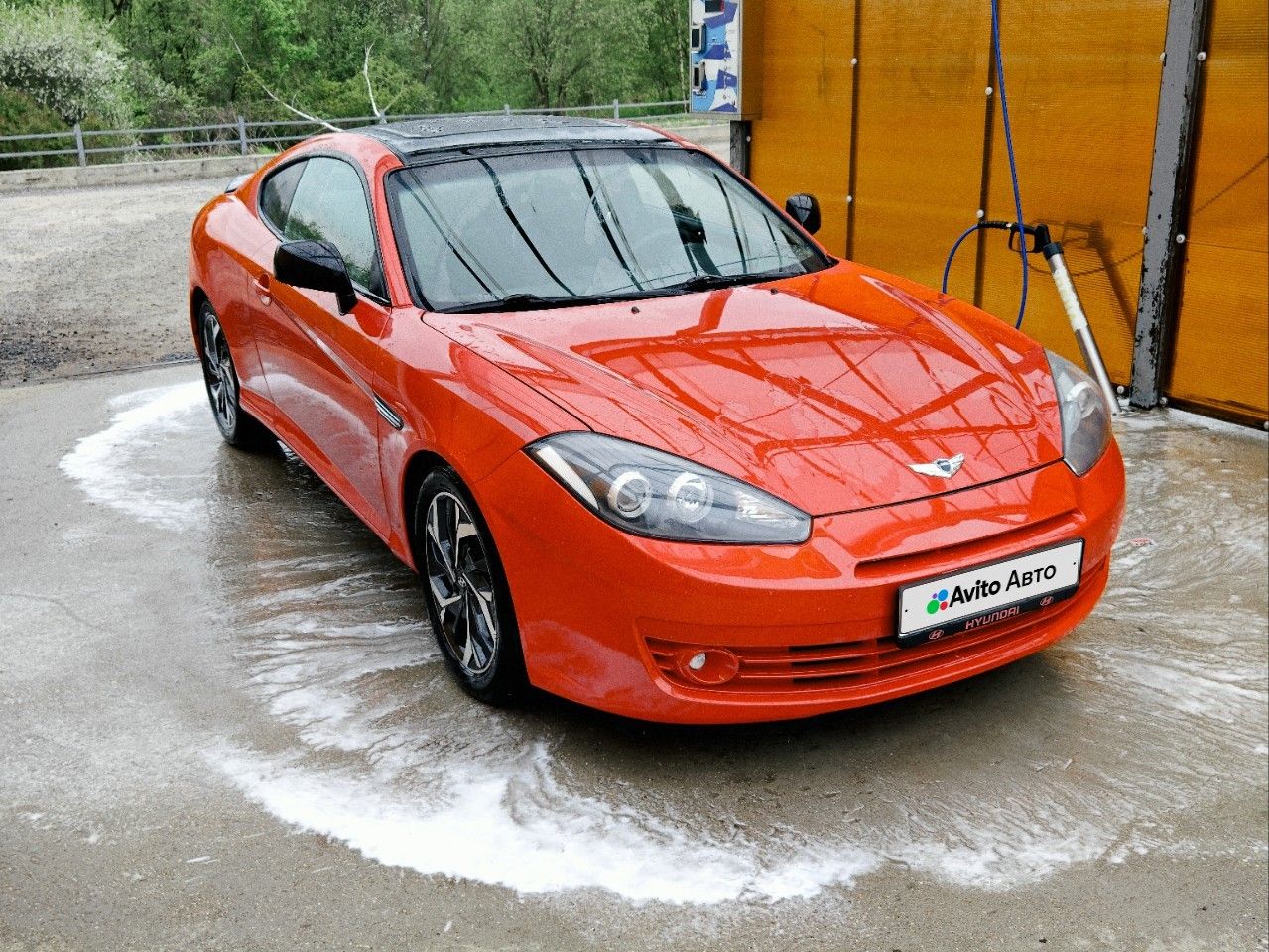 Hyundai Tiburon: фото владельца