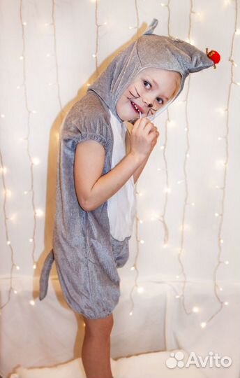 Костюмы - мышы, крот (Аренда)