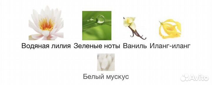 Одеколон Garden Lilies Jo Malone London