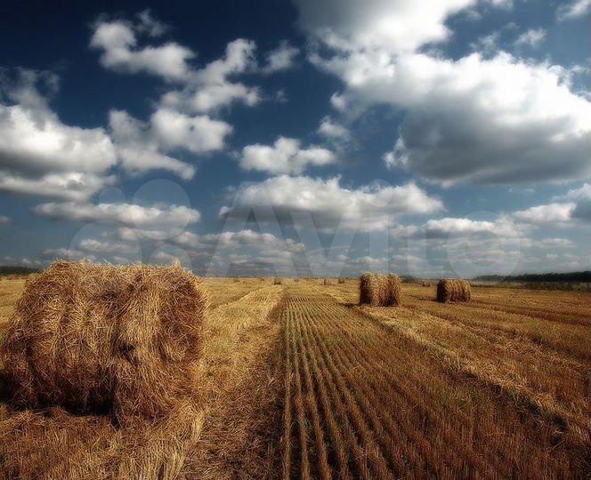 Участок 6,71 га (СНТ, ДНП)