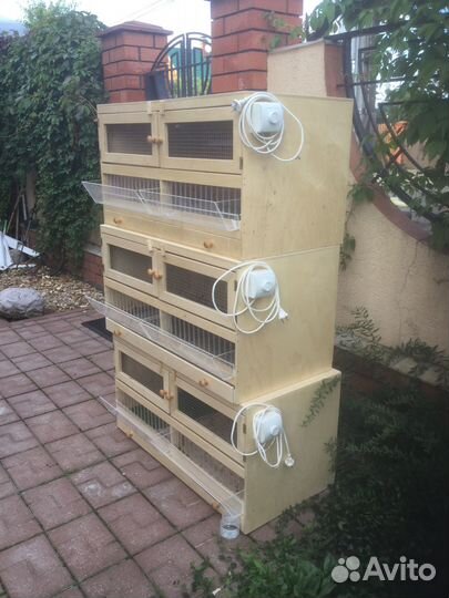 Клетка брудер для цыплят