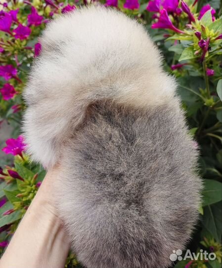 Мини девочка