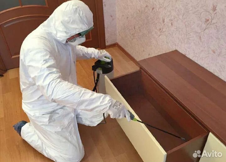 Дезинфекция от тараканов клопов