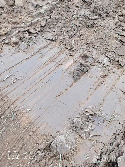 Земля чернозем плодородный грунт