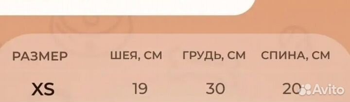 Одежда для маленьких собак xs