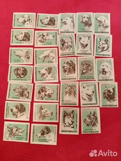 Породы собак. Спичечные этикетки