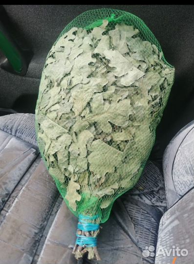 Веник дуб береза