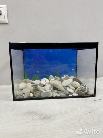 Аквариум
