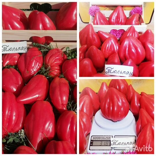 Семена серцевидных сортовых томатов