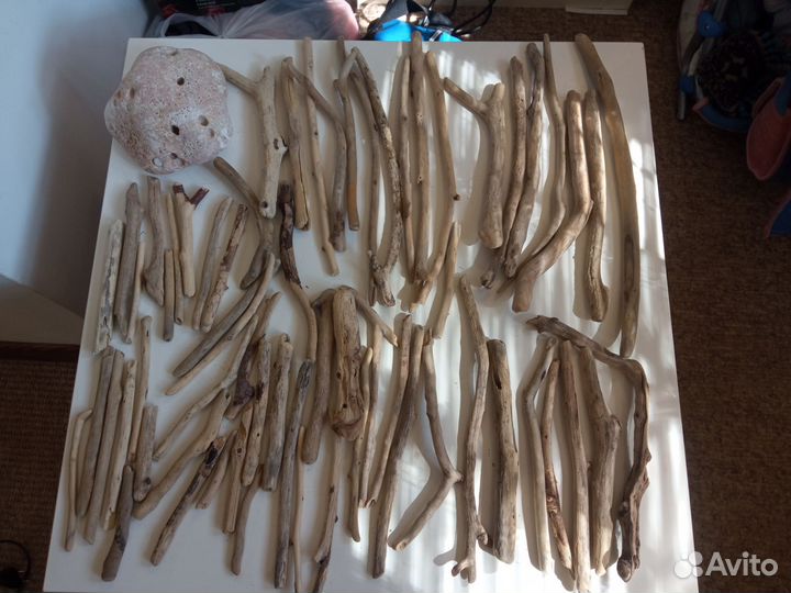 Коряги дрифтвуд